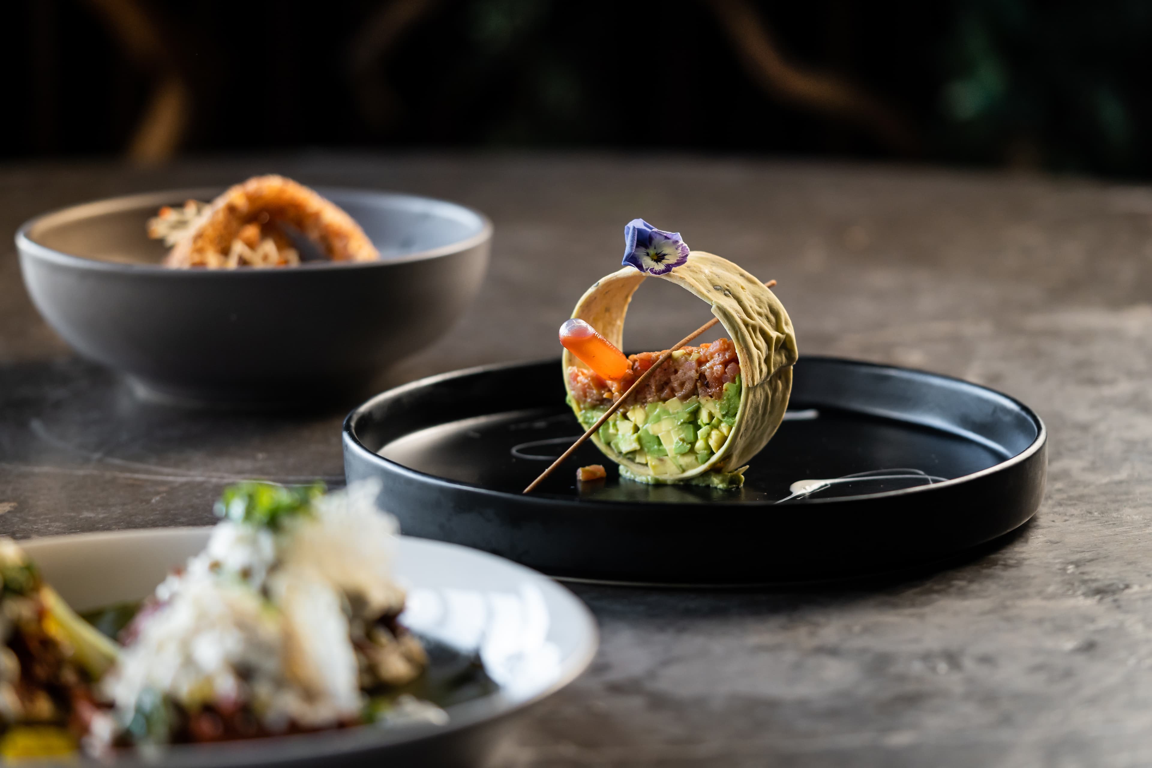 Experiencia Mar y Tierra